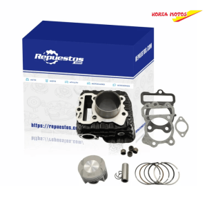 CILINDRO COMPLETO NS125